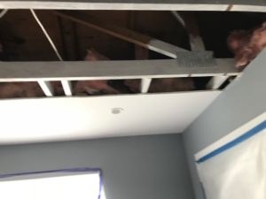 Mold removal from home