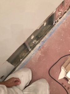 Mold Removal Worker