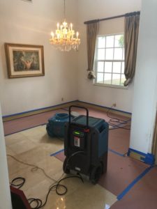 Fort Lauderdale Mold Removal