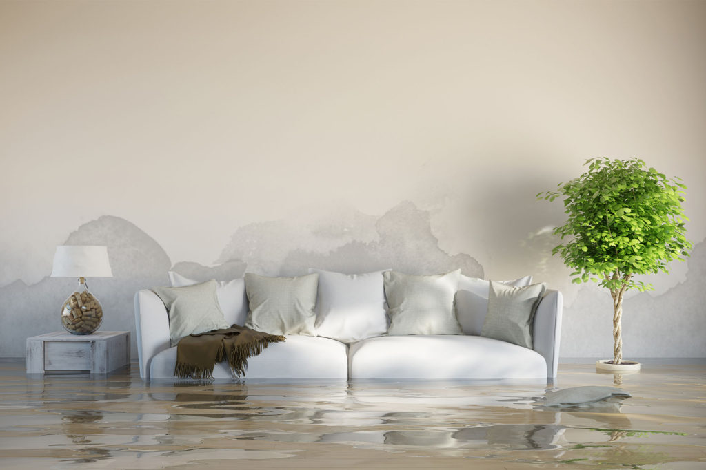 flood recovery services