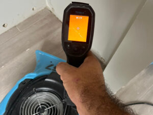 Fort Lauderdale Mold Inspection and Repair