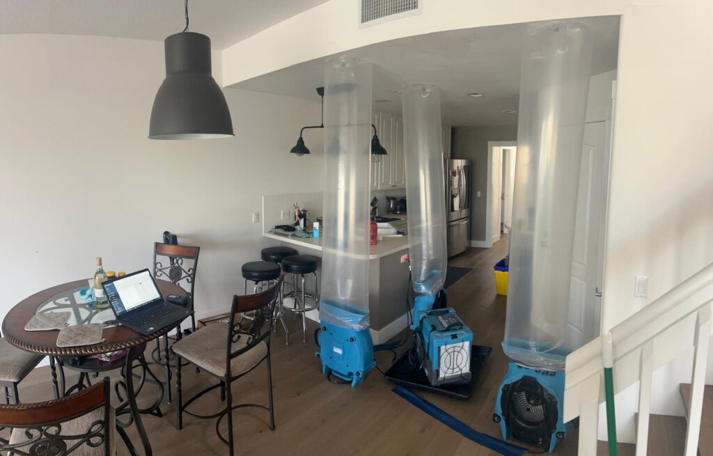 Top Quality Water Damage Restoration