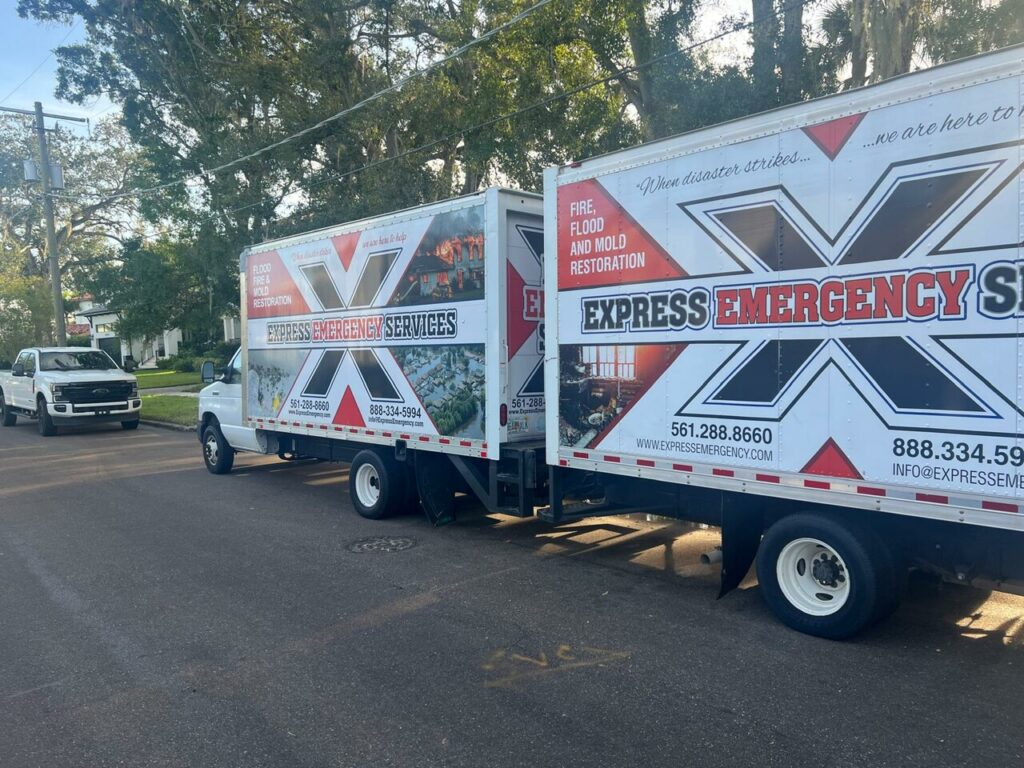Mold Inspection and Removal